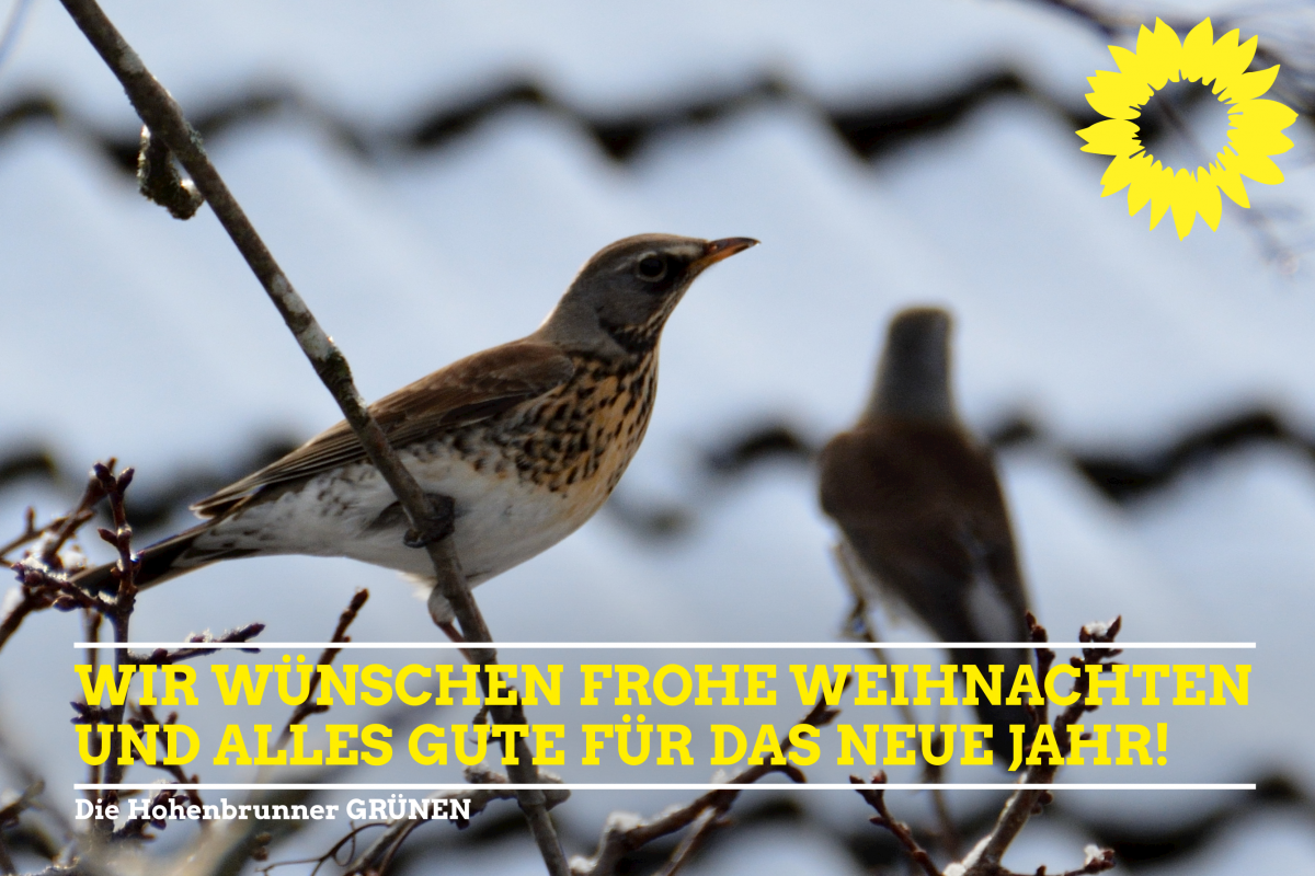 Wir wünschen frohe Weihnachten und alles Gute für das neue Jahr!